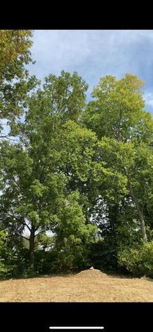 2574 Renwood Place, Columbus, OH 43211