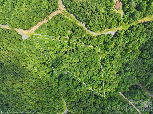 000 Mckenzie Way N 588&589, Old Fort, NC 28762