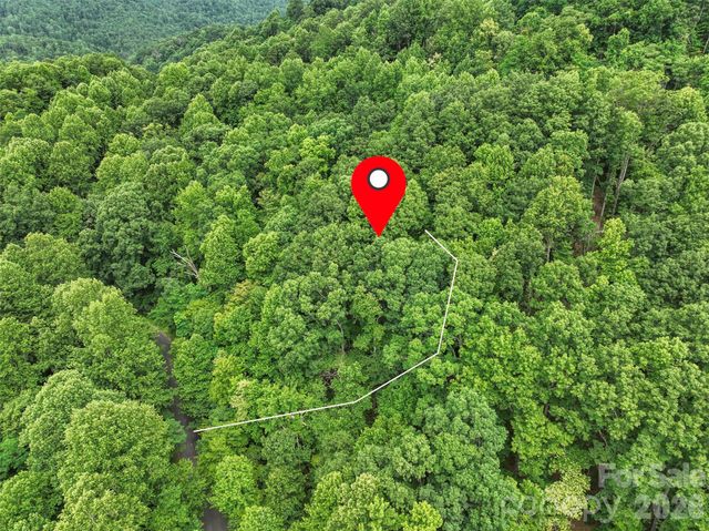 000 Mckenzie Way N 588&589, Old Fort, NC 28762
