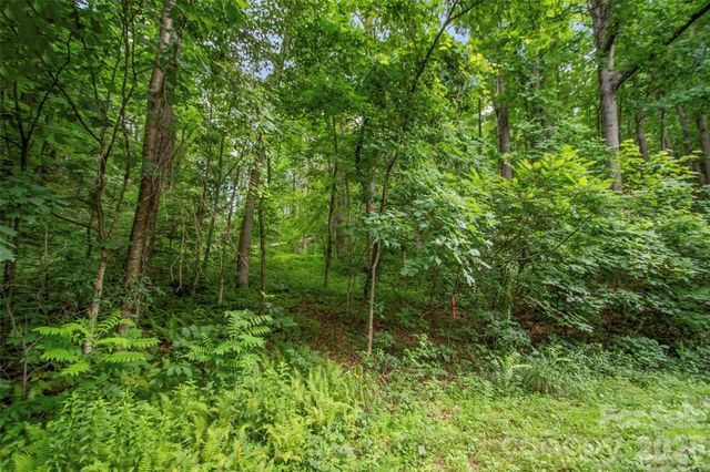 000 Mckenzie Way N 588&589, Old Fort, NC 28762