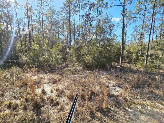 No situs SW No Situs Breezy Point Drive, Dunnellon, FL 34431