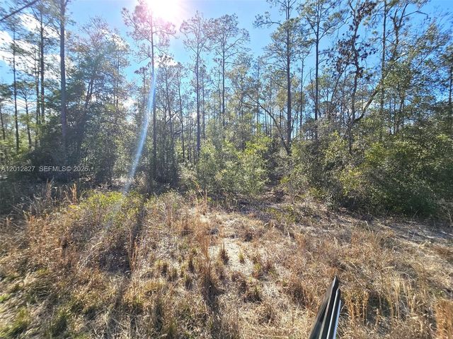 No situs SW No Situs Breezy Point Drive, Dunnellon, FL 34431