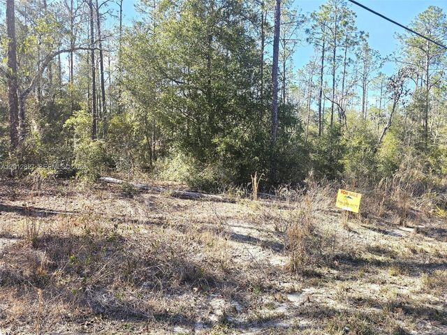 No situs SW No Situs Breezy Point Drive, Dunnellon, FL 34431