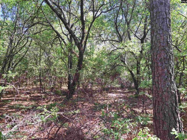270 Migrant Camp Road, Batesburg, SC 29006