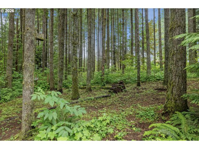 1516 Se 389TH Ave, Washougal, WA 98671