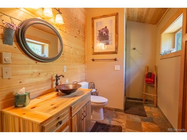 25879 County Road 162e, Nathrop, CO 81236