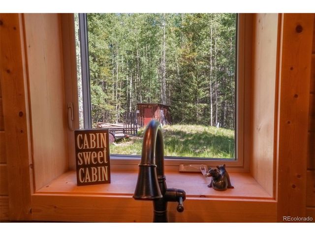 25879 County Road 162e, Nathrop, CO 81236