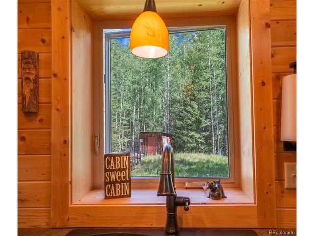 25879 County Road 162e, Nathrop, CO 81236