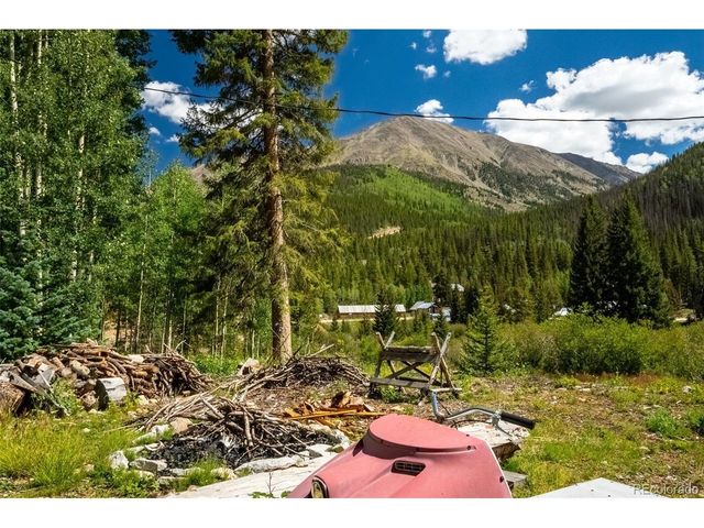 25879 County Road 162e, Nathrop, CO 81236