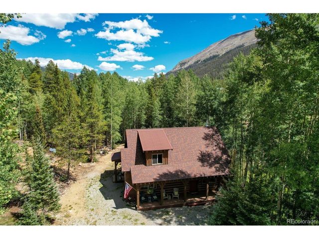 25879 County Road 162e, Nathrop, CO 81236