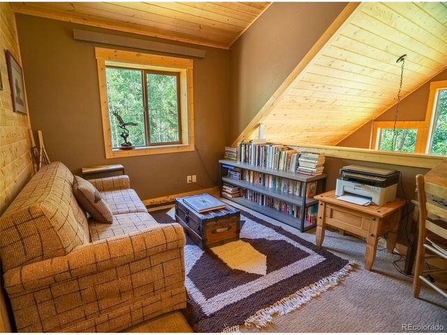25879 County Road 162e, Nathrop, CO 81236