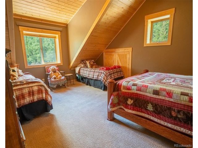 25879 County Road 162e, Nathrop, CO 81236