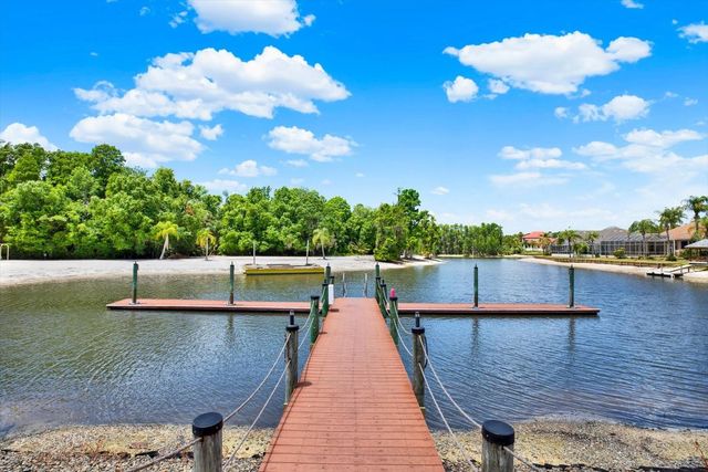 18019 JAVA ISLE DRIVE, Tampa, FL 33647
