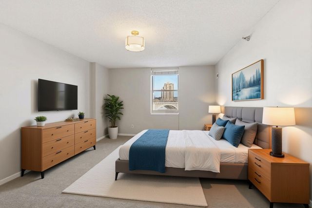 401 S 1st Street 215, Minneapolis, MN 55401