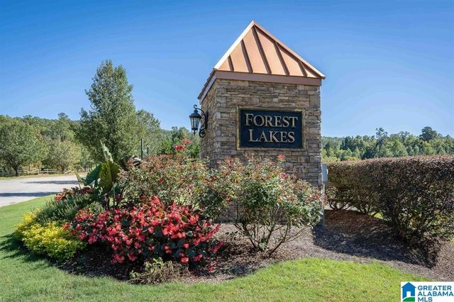 2148 FOREST LAKES LANE, Sterrett, AL 35147