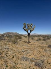 575 N Covelo, Landers, CA 92285