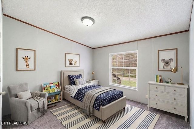 4504 Winslow Drive, Strawberry Plains, TN 37871