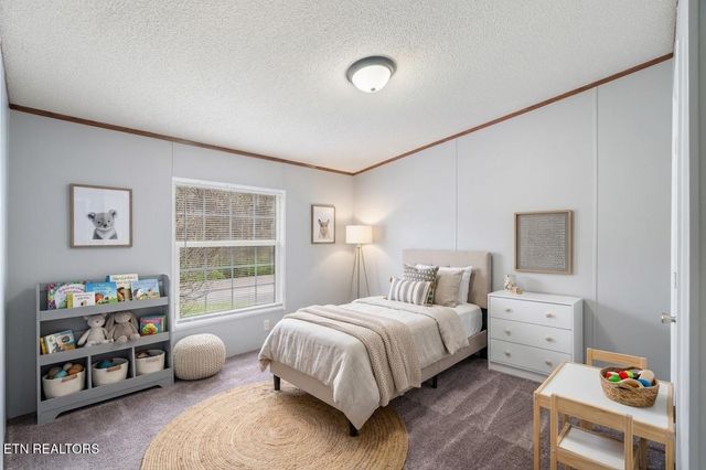 4504 Winslow Drive, Strawberry Plains, TN 37871