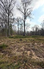 29386 Red Oak Dr, Walker, LA 70785