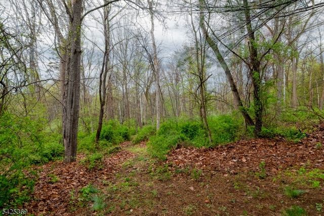 11 Fox Run Road, Glen Gardner Boro, NJ 08826