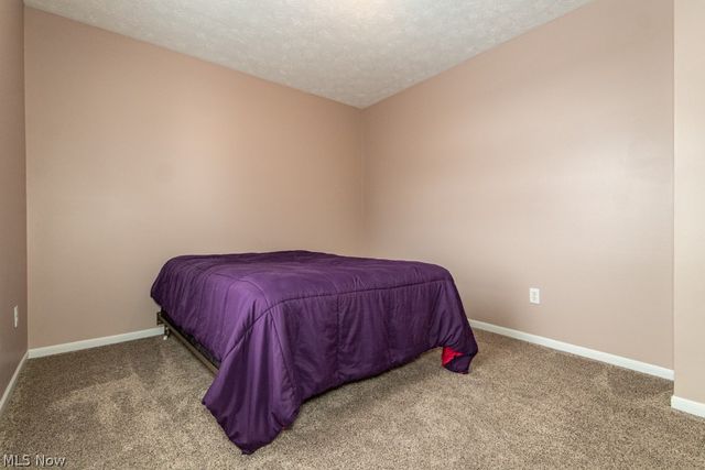 8697 Kingfisher Lane, Macedonia, OH 44056