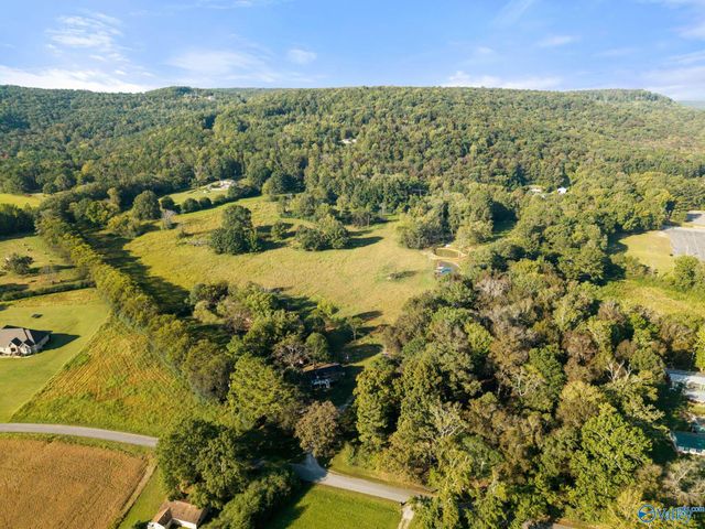 155 Blue Spring Road, Somerville, AL 35670