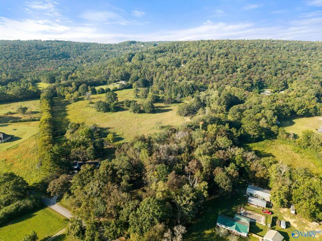 155 Blue Spring Road, Somerville, AL 35670