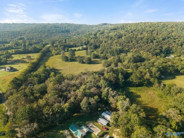 155 Blue Spring Road, Somerville, AL 35670