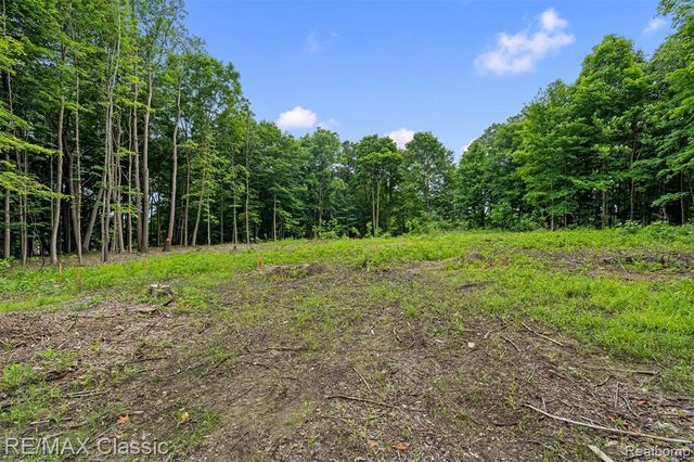 7888 N Territorial, Dexter, MI 48130