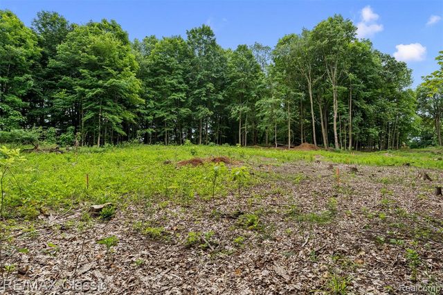 7888 N Territorial, Dexter, MI 48130