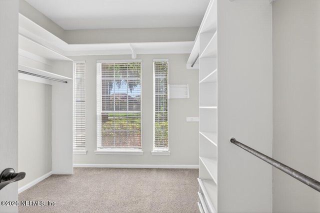 704 SHIPWATCH Drive E, Jacksonville, FL 32225