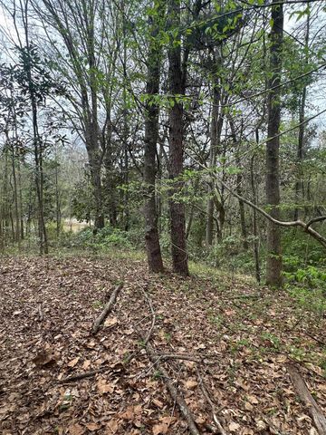 0B Riverwood Blvd., Hattiesburg, MS 39401