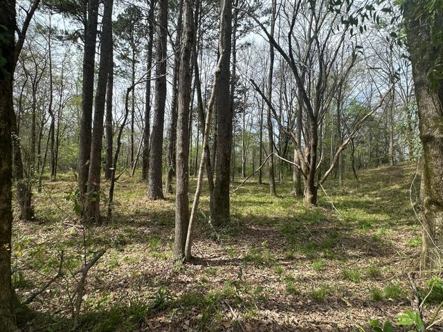 0B Riverwood Blvd., Hattiesburg, MS 39401