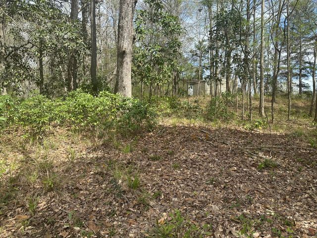 0B Riverwood Blvd., Hattiesburg, MS 39401