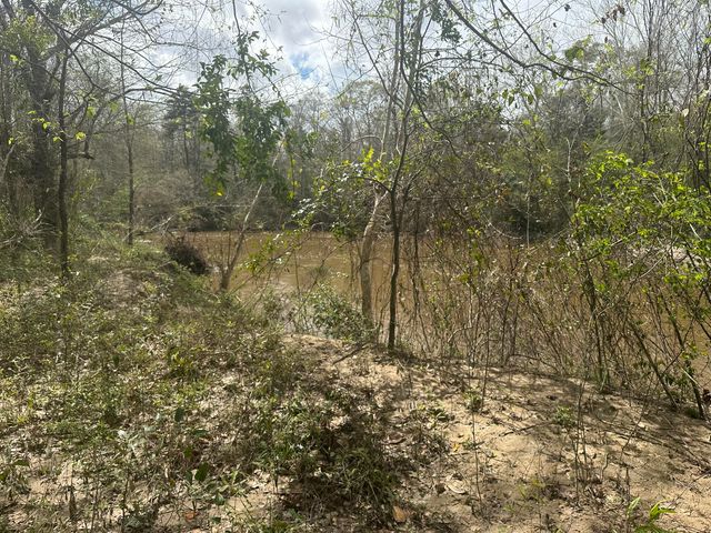 0B Riverwood Blvd., Hattiesburg, MS 39401