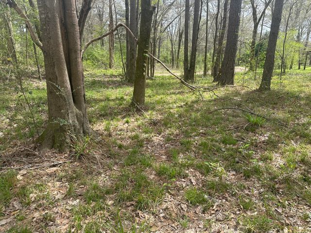 0B Riverwood Blvd., Hattiesburg, MS 39401
