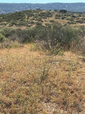 12 Alexander, Hemet, CA 92544