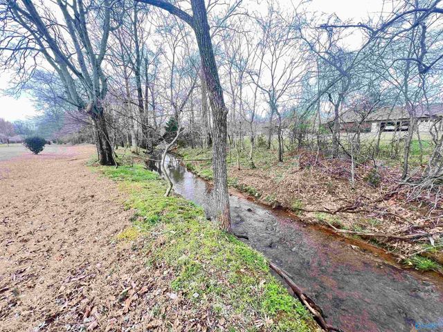 114 Rushing Brook Drive, Madison, AL 35756