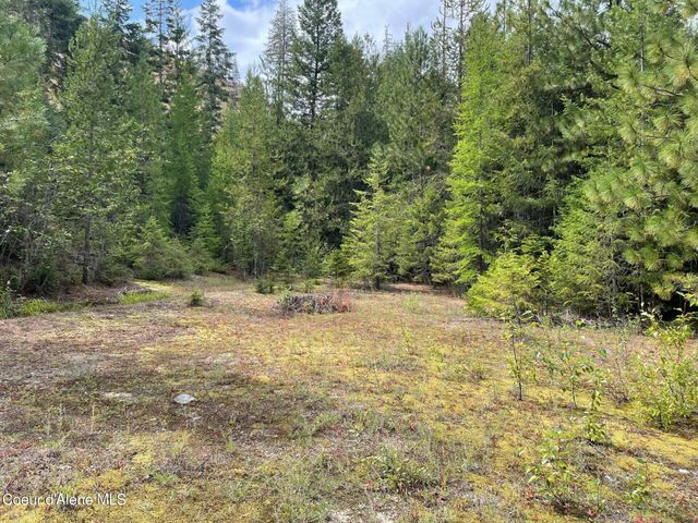 NKA 20-AC Schneiders Rd, Sagle, ID 83860