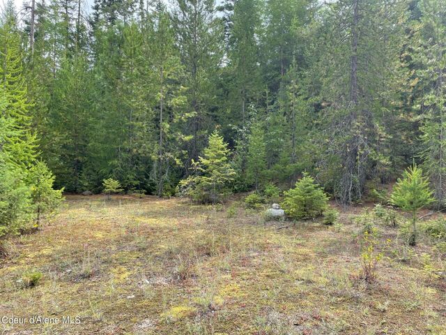 NKA 20-AC Schneiders Rd, Sagle, ID 83860