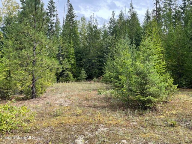 NKA 20-AC Schneiders Rd, Sagle, ID 83860