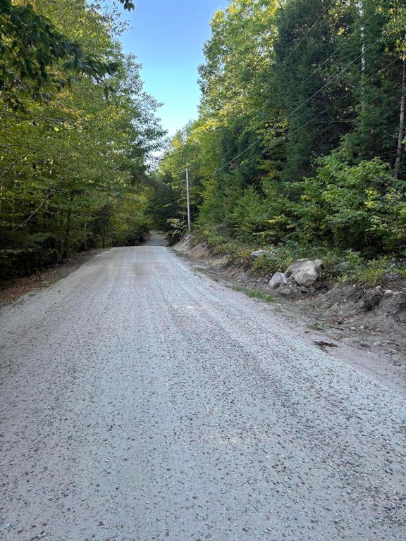 Lot 9 Bear Pond Road, Waterford, ME 04088 — photo 2