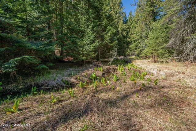 NNA Bottle Bay Road, Sagle, ID 83860