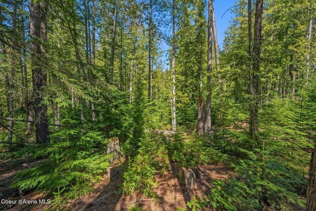 NNA Bottle Bay Road, Sagle, ID 83860