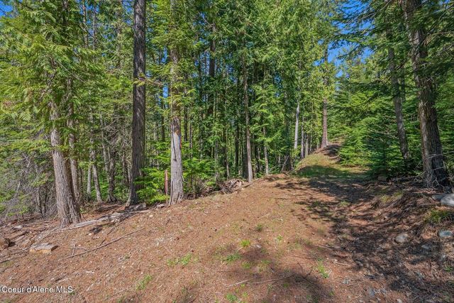 NNA Bottle Bay Road, Sagle, ID 83860