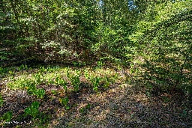 NNA Bottle Bay Road, Sagle, ID 83860