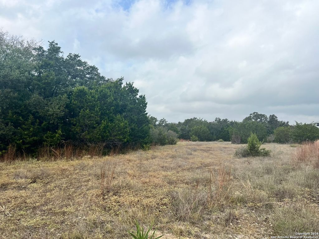 1182 Mystic Shores Blvd, Spring Branch, TX 78070