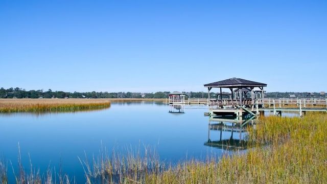 60 Newt Pl., Pawleys Island, SC 29585
