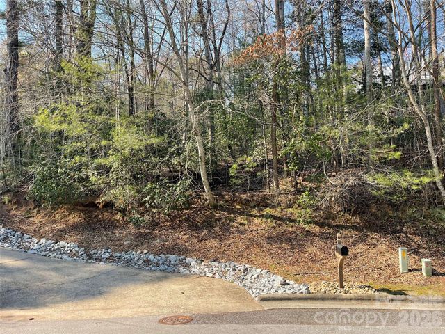 Lot 61 Deerlake Drive, Brevard, NC 28712