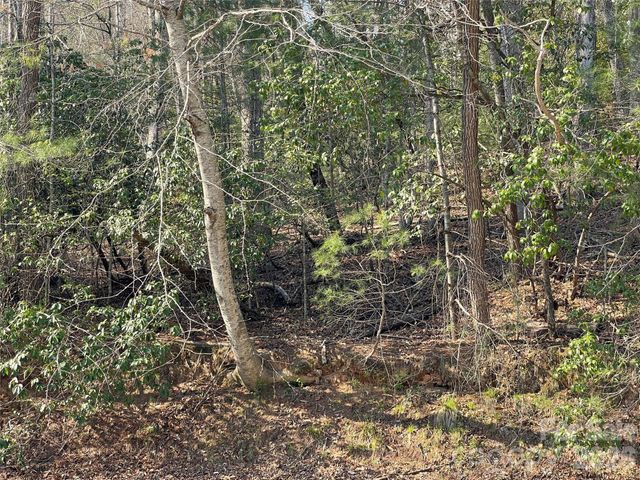 Lot 61 Deerlake Drive, Brevard, NC 28712